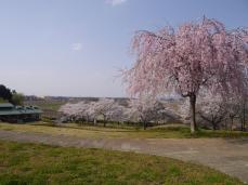 宮山ふるさとふれあい公園
